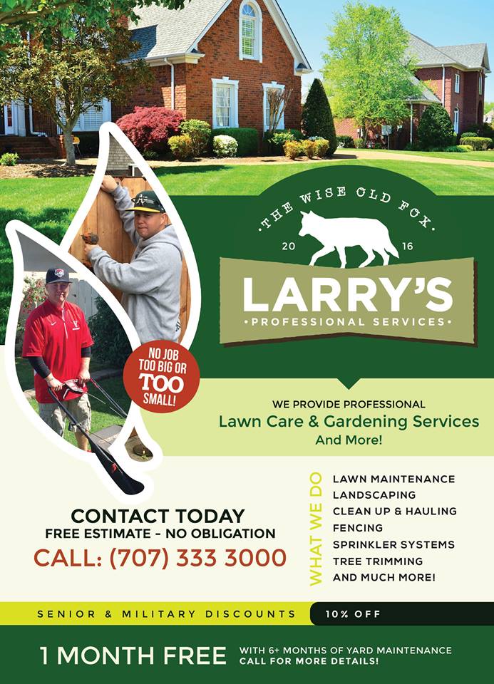 Larry's Pro Services